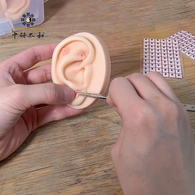 100 pezzi Semi di orecchie di Vaccaria per la terapia auricolare Solo per uso esterno