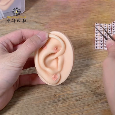 100 pcs Terapia con acupuntura per orecchie Semi di Vaccaria Medicina cinese Apparecchi a base di erbe