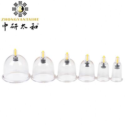 Modello di corpo standard di sicurezza Apparato di medicina cinese sviluppato per una formazione medica completa e l'educazione dei pazienti