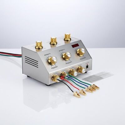 Golden TCM Clinic Apparecchi in acciaio inossidabile Dispositivo di elettroacupunzione Strumenti medici per un'efficace terapia della medicina tradizionale cinese