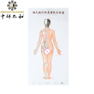 Cultura dell'agopuntura personalizzata che sfrutta le capacità naturali di guarigione del corpo con l'agopuntura