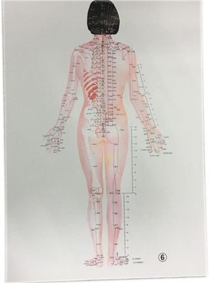 Medicina tradizionale cinese personalizzata Trattamento sicuro ed efficace