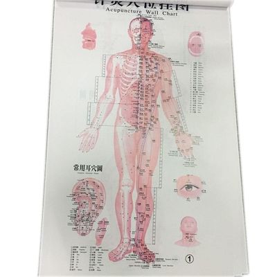 Medicina tradizionale cinese personalizzata Trattamento sicuro ed efficace