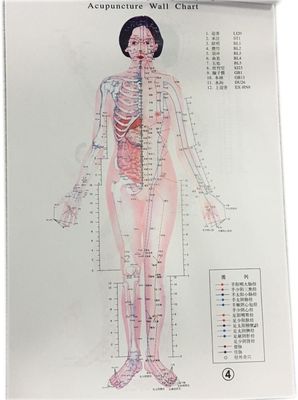 Medicina tradizionale cinese personalizzata Trattamento sicuro ed efficace